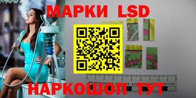 гидропоника Пугачёв