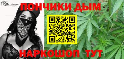 гидропоника Пугачёв