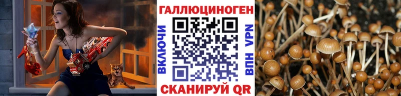 Псилоцибиновые грибы Magic Shrooms Подольск