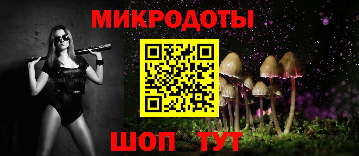 Псилоцибиновые грибы Psilocybe Подольск
