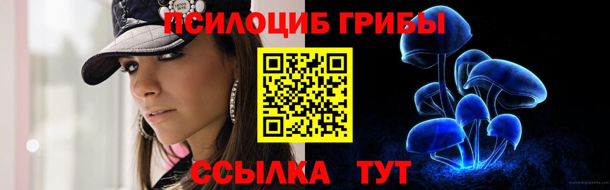 Псилоцибиновые грибы Cubensis  Вход с VPN  Подольск 